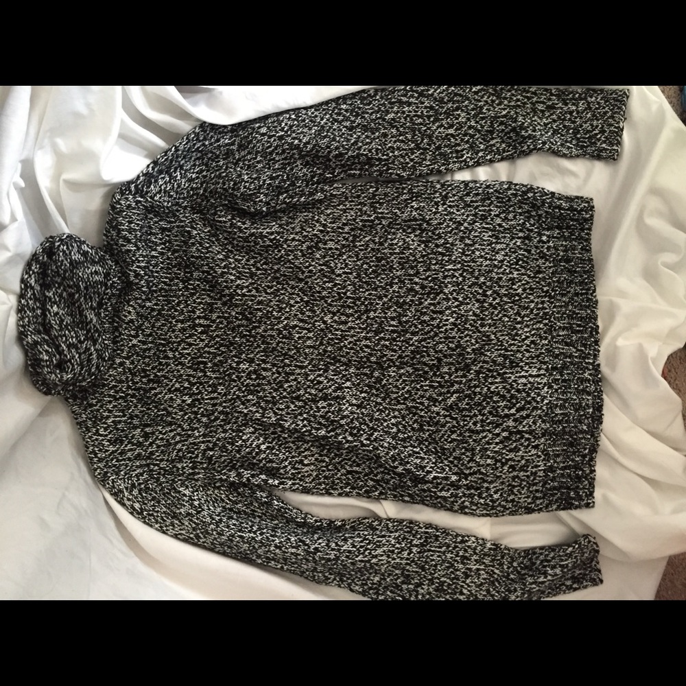 The Limited turtleneck sweater.